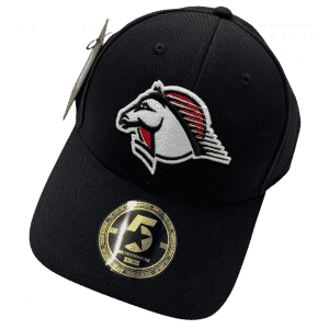 ECH Retro-Cap 2024 - Schwarz